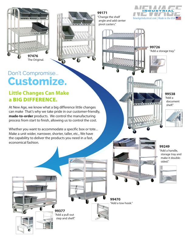 Custom Evolution Flyer (Customizable)